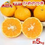 訳あり ひめのつき 5kg
