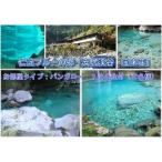 0710702 宝来荘 ペア宿泊1泊2食付き