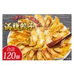ふるさと納税 リピーター続出!ボリューム満点!満腹餃子120個(3kg )【老舗 大容量 国産 焼き餃子 冷凍 ぎょうざ ギョーザ 冷凍餃子 簡単調理.. 茨城県水戸市