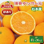 訳あり 清見 オレンジ 5kg