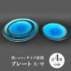 プレート 大 中 各2 計4点 つや有 食器 皿