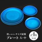 プレート 大 中 各2 計4点 マット 食器 皿