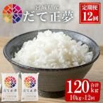 だて正夢 合計120kg