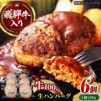 飛騨牛 生ハンバーグ 6個