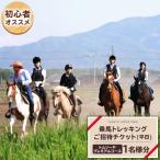 トムソーヤプレミアムコース 平日プラン