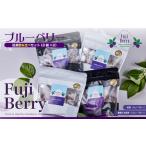 Fuji Berry ブルーベリー紅茶飲み比べセット 2袋×2