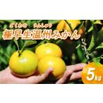 極早生 温州みかん 5kg