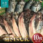 開きにしん10枚セット 函館山崎水産 にしん