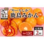2回定期 ”やーらしか”鹿島産みかん 約6.5kg