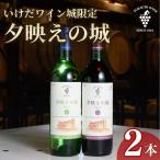 十勝ワイン いけだワイン城 2本セット 赤 白 ワイン ワイン 赤ワイン 白ワイン セット