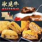 氷見牛カレー&氷見牛コロッケ&氷見牛ミンチカツセット