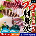 氷見漁港 刺身セット 毎月お届け 詰め合わせ