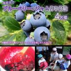 ブルーベリーのジャム作り体験4名様●ケーキとコーヒー付き