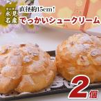 でっかいシュークリーム 2個入