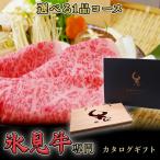 牛肉 氷見牛専門カタログ 1品コース