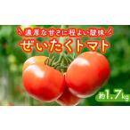 ぜいたくトマト 約1.7kg◇
