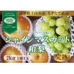 ふるさと納税 【直送便】完熟シャインマスカットと和梨セット(小) 0148-2509 山形県上山市