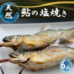 天然鮎の塩焼き 6匹