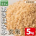 玄米 あきほなみ 5kg