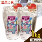 温泉の素 神の湯 紫尾温泉 500g×2袋