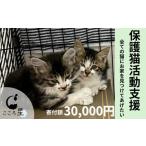 保護猫 活動支援 寄付額5 000円 支援