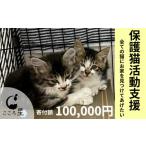 保護猫 活動支援 寄付額100,000円