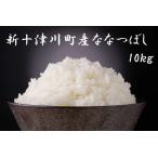 fu.... tax [. peace 5 year production ]...... rice (10kg)[11004]...... rice 10kg..... tax rice Hokkaido . rice rice white rice brand rice Hokkaido new 10 Tsu river block 