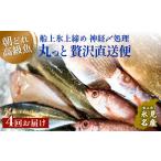 氷見港朝獲れ高級魚 丸っと贅沢直送便 船上氷上締め
