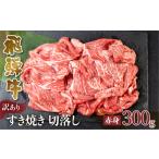 ふるさと納税 訳あり 飛騨牛 すき焼き用 切落し 300g 切り落とし すき焼き 赤身 肉 牛肉 お肉 和牛 冷凍 岐阜県 部位お任せ 形 不揃い 国産 ブラ.. 岐阜県白川村