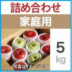りんご ミックスおまかせ 約5kg_果物