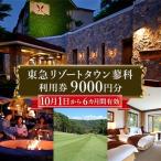 ふるさと納税 東急リゾートタウン蓼科利用券(1,000円分×9枚)2026年10月1日から6か月間有効チケット_旅行券・チケット _ 長野県茅野市