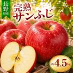 りんご 完熟 サンふじ 約4.5kg