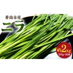 fu.... налог производство количество Япония один . юг город. чесночный лук 2kg - чесночный лук . юг город производство .. утро .. прямая поставка от производителя зелень-коренья чесночный лук on-0011 Kochi префектура . юг город 