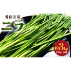 fu.... налог производство количество Япония один . юг город. чесночный лук 3kg - чесночный лук . юг город производство .. утро .. прямая поставка от производителя зелень-коренья чесночный лук on-0012 Kochi префектура . юг город 