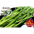 fu.... налог производство количество Япония один . юг город. чесночный лук 5kg - чесночный лук . юг город производство .. утро .. прямая поставка от производителя зелень-коренья чесночный лук on-0014 Kochi префектура . юг город 