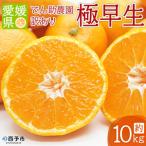 でん助農園の温州みかん 極早生 訳あり 約10kg