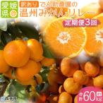 でん助農園の温州みかんリレー 訳あり 3回定期便