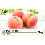 ふるさと納税 ≪先行予約≫ 贈答用 2025年 山形県産 川中島白桃 秀 3kg(8〜11玉) 2025年8月下旬から順次発送 柔らかくなる桃 もも 夏果実 果物.. 山形県山辺町