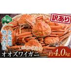 ふるさと納税 【訳あり】オオズワイガニ(ボイル済) 約4.0kg<海鮮問屋 株式会社 瑞宝> かに カニ 蟹 ガニ がに ずわいがに おおずわいがに 大.. 北海道森町