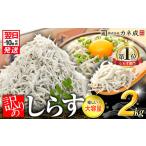 ふるさと納税 訳あり しらす 2kg 【1箱×2】 訳あり しらす 人気 愛知県南知多町