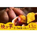 焼き芋 食べ比べ おまかせセット 計約1.3kg