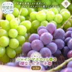 種なし シャインマスカット 2房 ピオーネセット