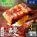 うなぎ ご 3尾