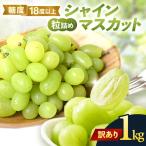 糖度18度以上 粒詰めシャインマスカット 1kg