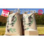 コシヒカリ只見産白米中野米店コシヒカリ