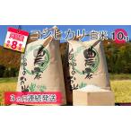 コシヒカリ只見産白米中野米店コシヒカリ