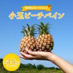 小玉 ピーチパイン 約3.5kg