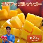 アップルマンゴー 約2kg