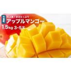ふるさと納税 2026年 先行予約 アップルマンゴー 約1.5kg 3〜5玉 西表島ひらい農園 マンゴー 果物 フルーツ 027-a006_2026 沖縄県竹富町