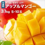 アップルマンゴー 約3.1kg